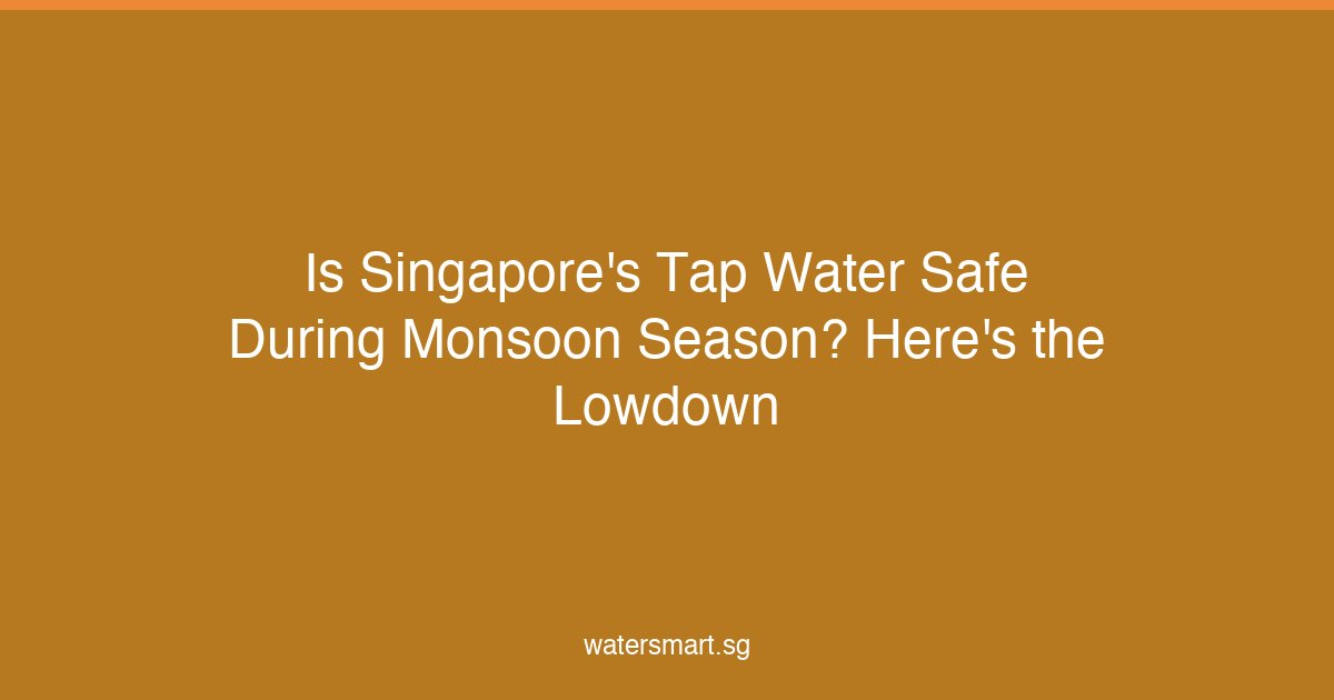 Is Singapore's Tap Water Safe During Monsoon Season? Here's the Lowdown